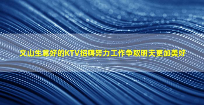 文山生意好的KTV招聘努力工作争取明天更加美好
